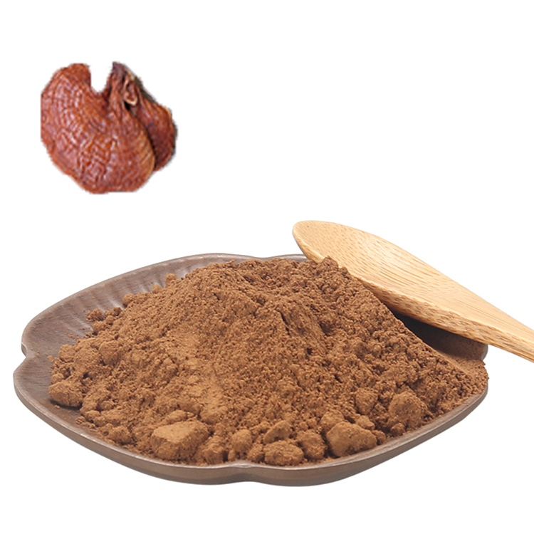 The Reishi Revolution: A Superfood You Need in 2025